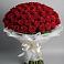 Букет 101 Красная роза Блэк Мэджик в Белово