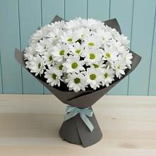 Букет цветов из:  Хризантемы в Белово