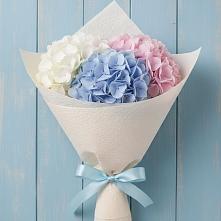 Букет цветов из:  Гортензия в Белово