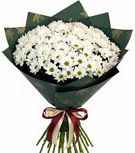 Букет цветов из:  Хризантемы #REPLACE_PRED# Белово
