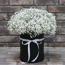 Цветочная композиция из Гипсофила в шляпной коробке в Белово