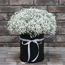 Цветочная композиция из Гипсофила в шляпной коробке в Белово