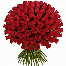 Букет Красные розы Чери Лав в Белово