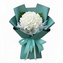 Букет цветов из:  Гортензия в Белово